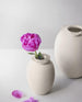 Brim vases pair pink flower ph Chris Tonnesen