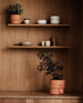 Oasis planters terracotta kitchen shelf Photo Einar Aslaksen