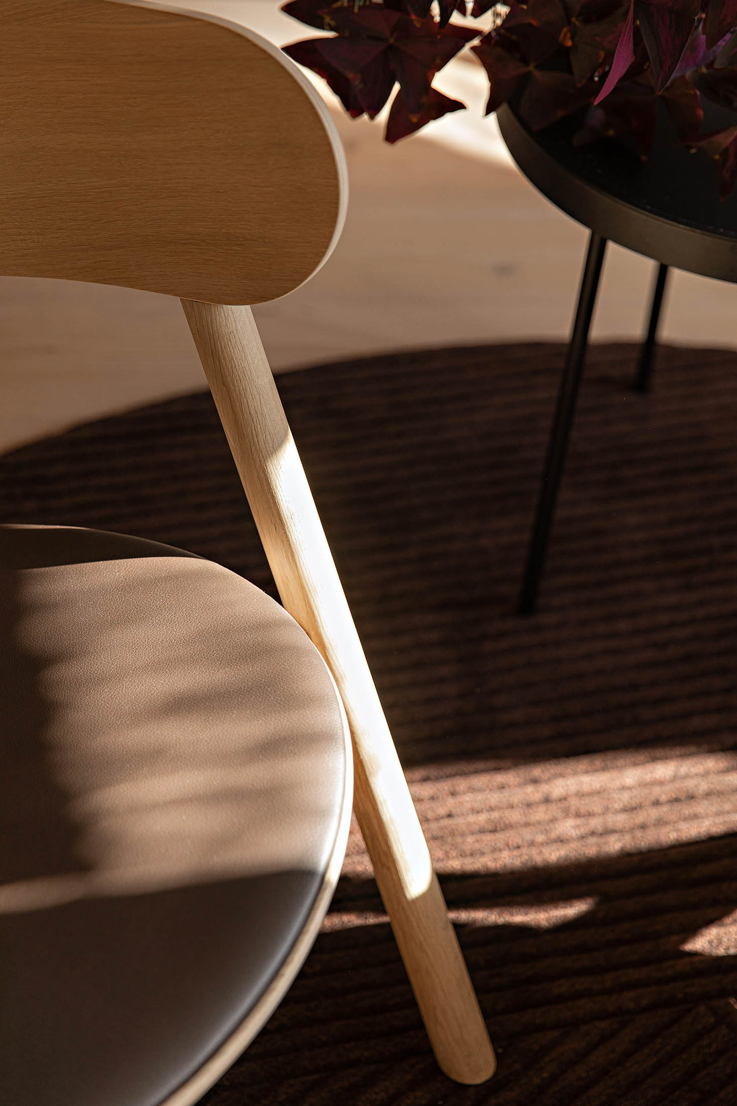 Ove Rogne apartment_Oaki_lounge_chair_sunlight_Closeup_Northern_Photo_Anne_Andersen_Low-res