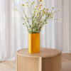 Into_vase_yellow_Cling-table_Northern